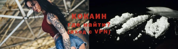 ГАЛЛЮЦИНОГЕННЫЕ ГРИБЫ Абаза