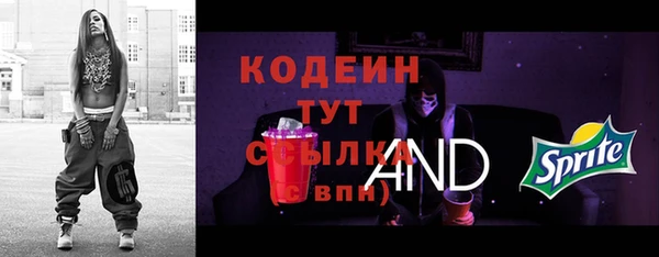 ГАЛЛЮЦИНОГЕННЫЕ ГРИБЫ Абаза