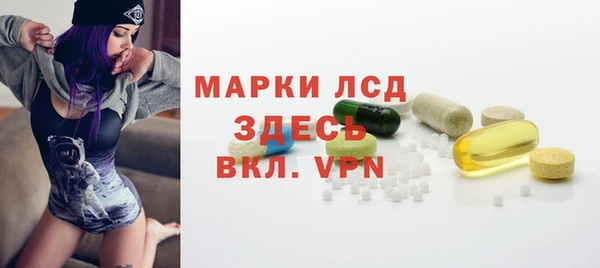 ГАЛЛЮЦИНОГЕННЫЕ ГРИБЫ Абаза