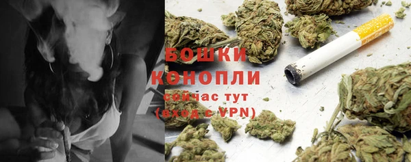 ГАЛЛЮЦИНОГЕННЫЕ ГРИБЫ Абаза